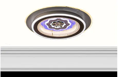 Light Fixture Circle 8219-2