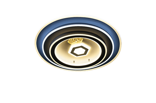 [A81-558] Ceiling Light