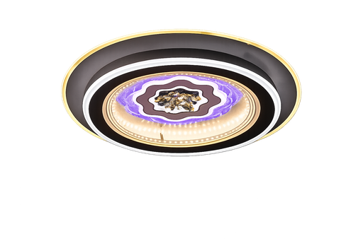 [8219-2 Circle] Ceiling Light