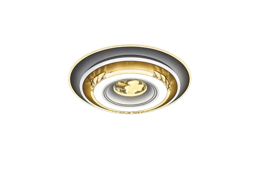 [23617] Ceiling Light